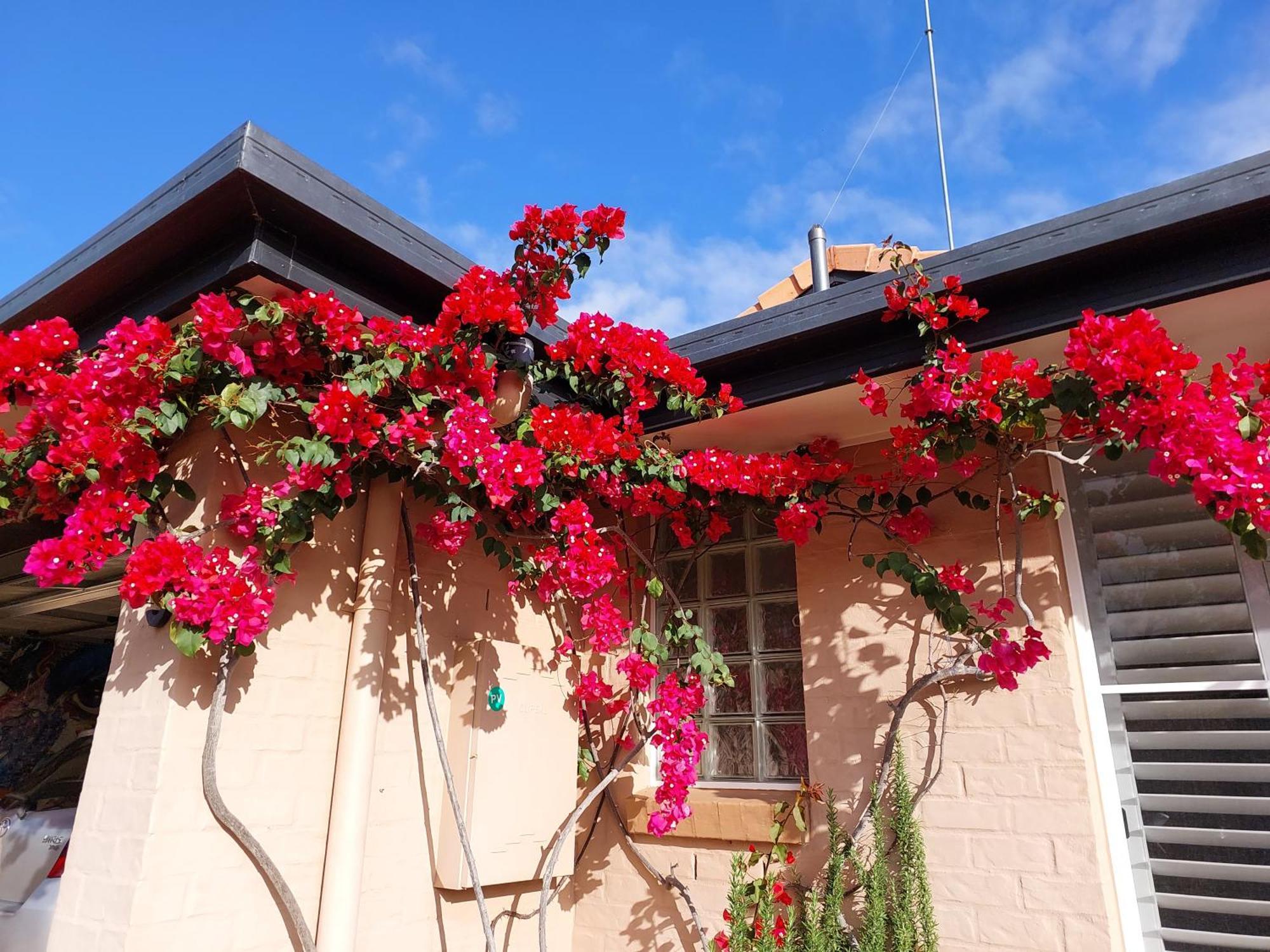 Summerhouses Noosaville Exterior photo